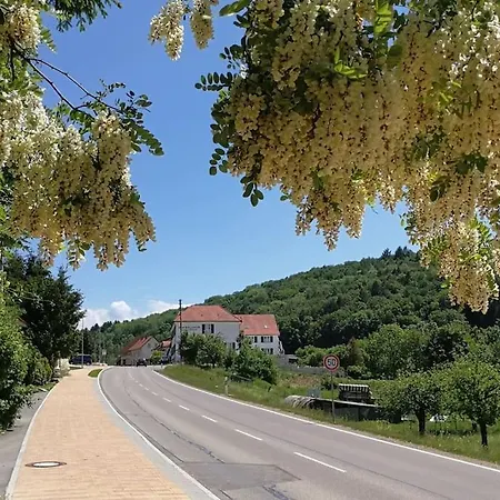 3,5 Z-wohnung, 2 Schlafzimmer Fuer 4 Personen, 30 Min Zuerich -galileo * Klettgau