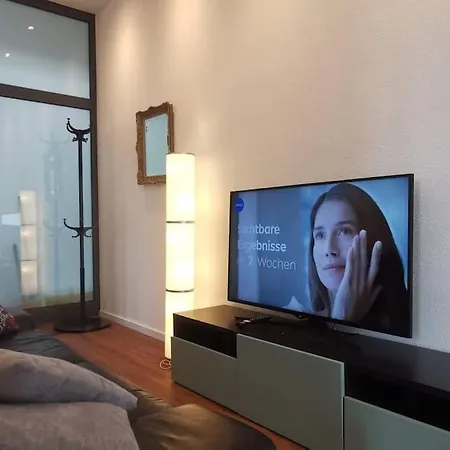 3,5 Z-wohnung, 2 Schlafzimmer Fuer 4 Personen, 30 Min Zuerich -galileo Apartment