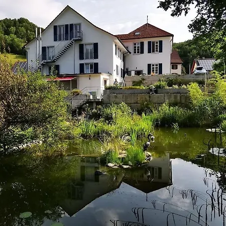 Apartment 3,5 Z-wohnung, 2 Schlafzimmer Fuer 4 Personen, 30 Min Zuerich -galileo