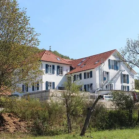 Apartment 3,5 Z-wohnung, 2 Schlafzimmer Fuer 4 Personen, 30 Min Zuerich -galileo