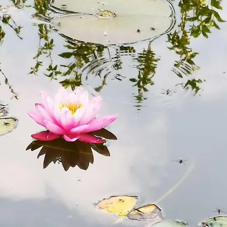 3,5 Z-wohnung, 2 Schlafzimmer Fuer 4 Personen, 30 Min Zuerich -galileo Klettgau