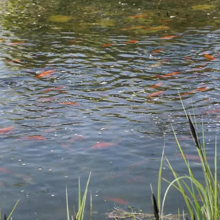 3,5 Z-wohnung, 2 Schlafzimmer Fuer 4 Personen, 30 Min Zuerich -galileo Lägenhet Klettgau