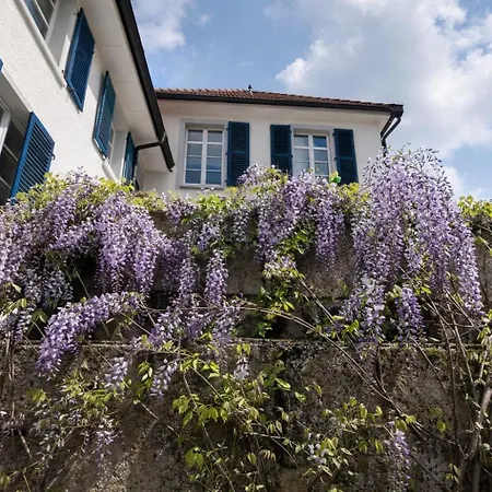 3,5 Z-wohnung, 2 Schlafzimmer Fuer 4 Personen, 30 Min Zuerich -galileo