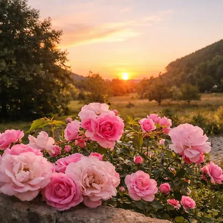 3,5 Z-wohnung, 2 Schlafzimmer Fuer 4 Personen, 30 Min Zuerich -galileo Lägenhet Klettgau