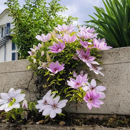 3,5 Z-wohnung, 2 Schlafzimmer Fuer 4 Personen, 30 Min Zuerich -galileo * Klettgau